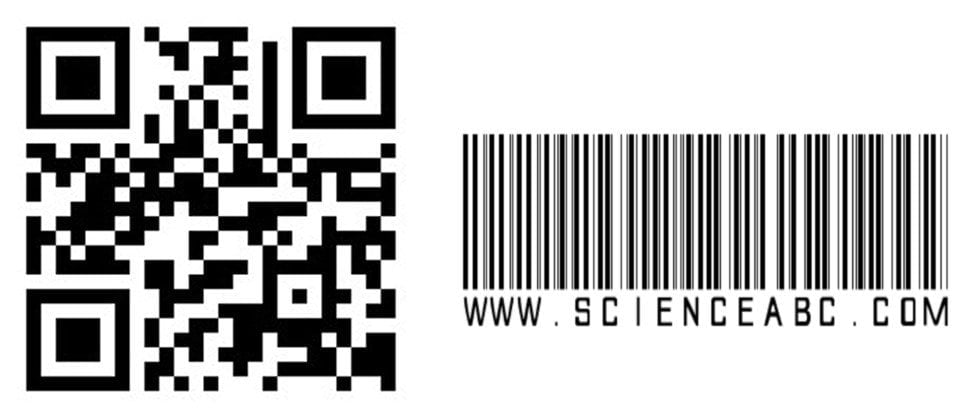 QR Code vs Barcode: Differences Between QR Code and Barcode