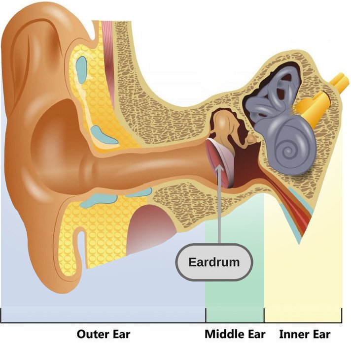 Ear Popping: Why Does Popping Your Ears Improves