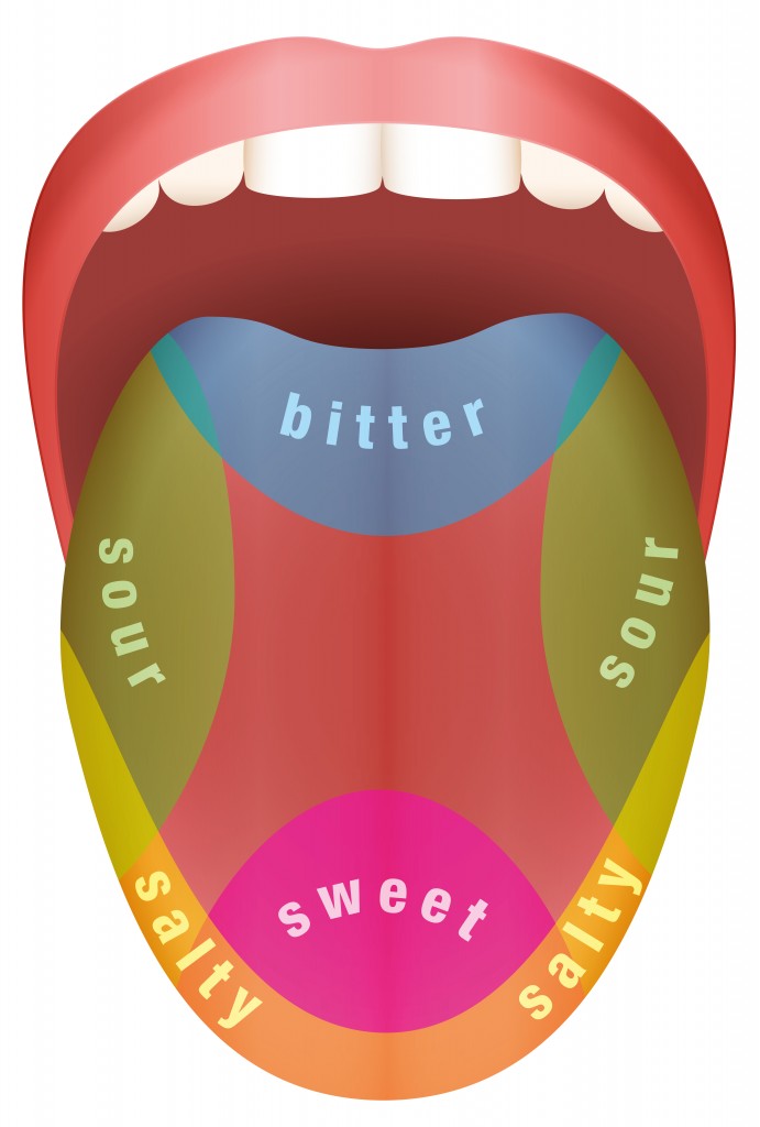 https://www.scienceabc.com/wp-content/uploads/ext-www.scienceabc.com/wp-content/uploads/2019/06/Tongue-with-four-different-taste-areas-bitter-sweet-sour-and-salty.-Isolated-vector-illustration-on-white-background.-Vector-Peter-Hermes-Furians.jpg-.jpg